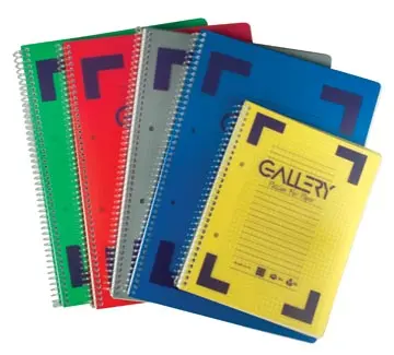 GALLERY CAHIER À RELIURE SPIRALE TRADITIONAL A5, 2 TROUS, QUADRILLÉ 5 MM, COULEURS ASSORTIES, 160 PAGES 