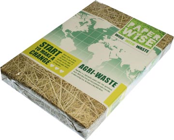 PaperWise papier ft A3, 80 g, paquet de 500 feuilles
