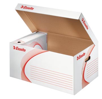 Esselte conteneur à archives 10pcs