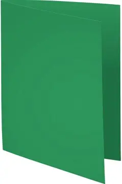 [800004E] Exacompta chemise de classement Rock's 80, ft 22 x 31 cm, paquet de 100, vert